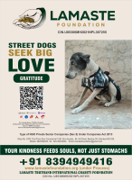 thumbnail For Donation 